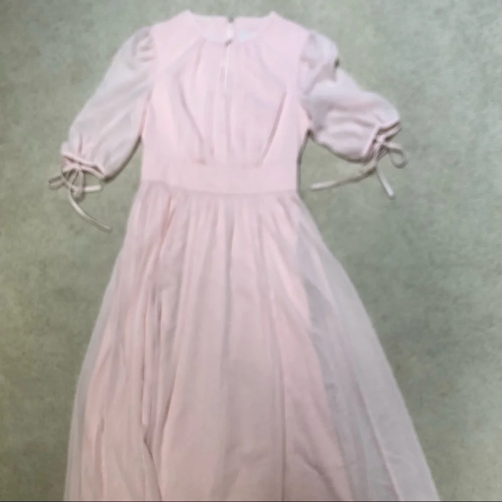 Louise Swiss Dot Sheer Tie Sleeves dress - Picture 5 of 6